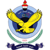 شعار الفريق