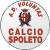 Voluntas Calcio Spoleto