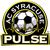 AC Syracuse Pulse