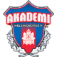 Helsingborgs IF Akademi