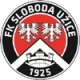 FK Sloboda Uzice