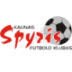 FK Kauno Zalgiris logo
