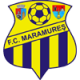 CS FC Maramure Universitar Baia Mare