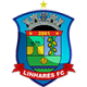 Linhares FC ES