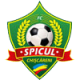 FC Spicul Copceac