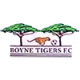 Boyne Tigers FC