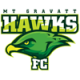 MT Gravatt Hawks FC