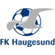 Haugesund 2 logo