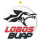 Lobos Buap (W)