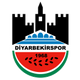 Diyarbakir FK AS