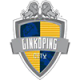 FC Linkoping City
