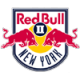 New York R B II logo