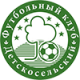 FC Detskoselskiy