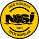 NSI Runavik II logo
