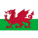 Wales (W) logo