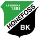 Hoenefoss logo