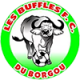 Les Buffles de Borgou FC