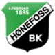 Hoenefoss BK (W) logo