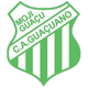 CA Atletico Guacuano SP U20 logo