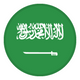 Saudi Arabia Youth logo
