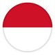Indonesia Youth logo