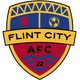 Flint City AFC