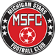 Michigan Stars FC logo