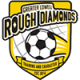 Greater Lowell Rough Diamonds logo