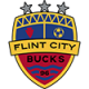 Flint City Bucks logo