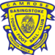 Basingstoke Town FC